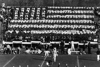 vintage-stadium-flag